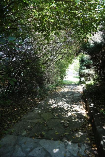 A L'Oree Des Cevennes Aigremont Εξωτερικό φωτογραφία